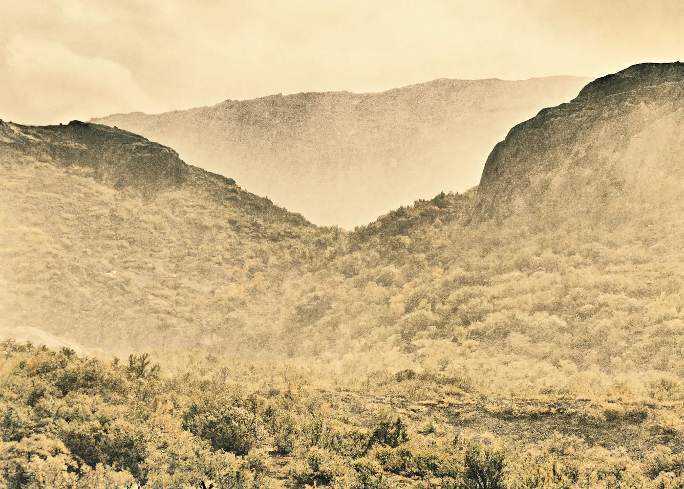 In memory, Kulangsu — immersive heritage