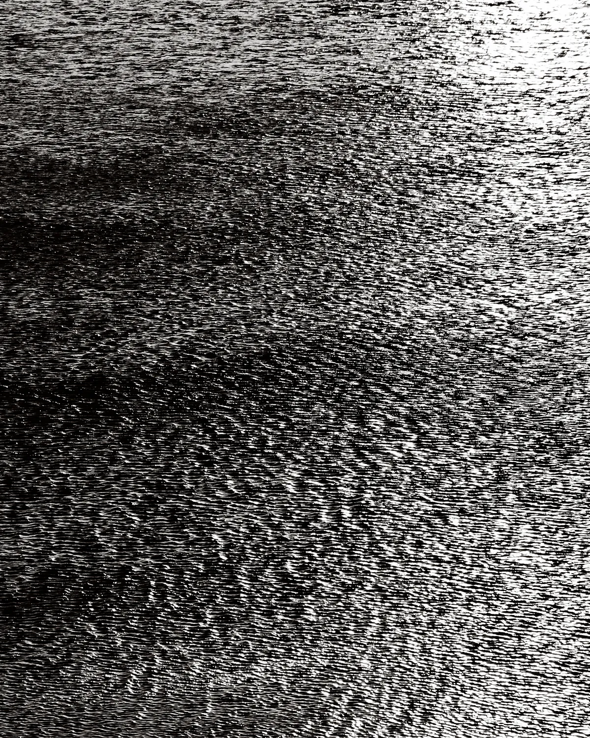 Water surface as environmental continuity