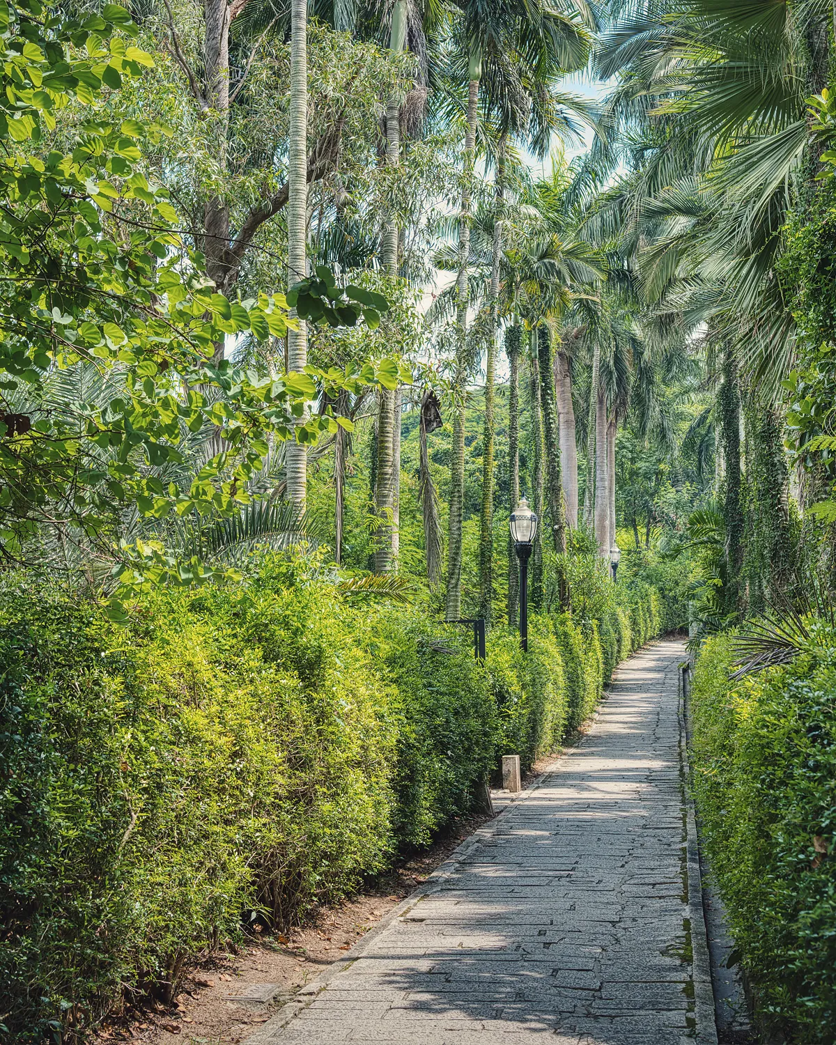 Pathway through public environmental space